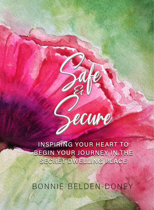 Safe & Secure Journal