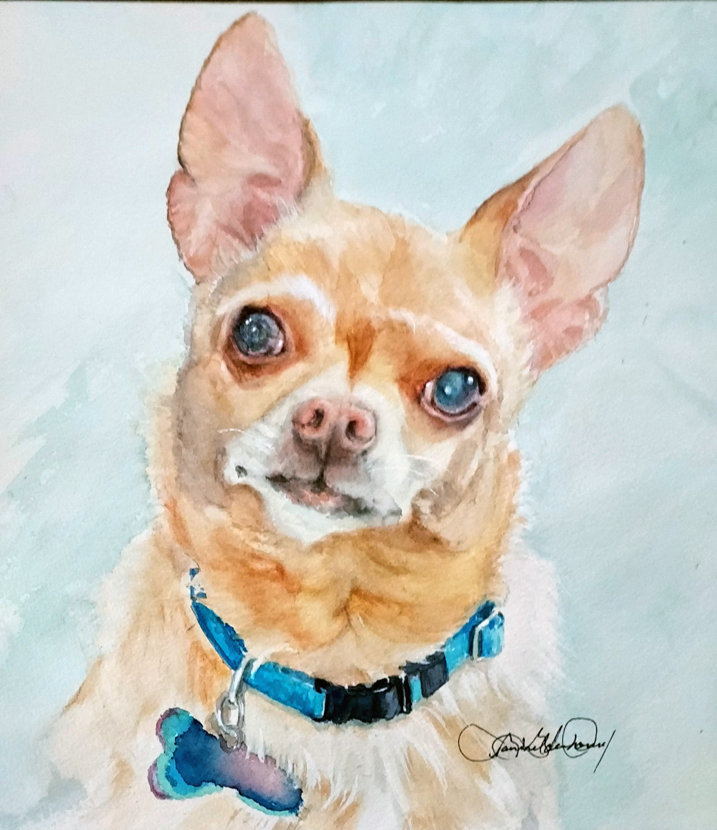 Pets & Their People Portraits